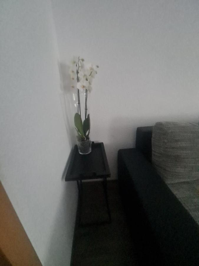 Paula Haus Appartamento